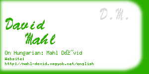 david mahl business card